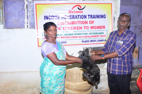 Chicken Farming